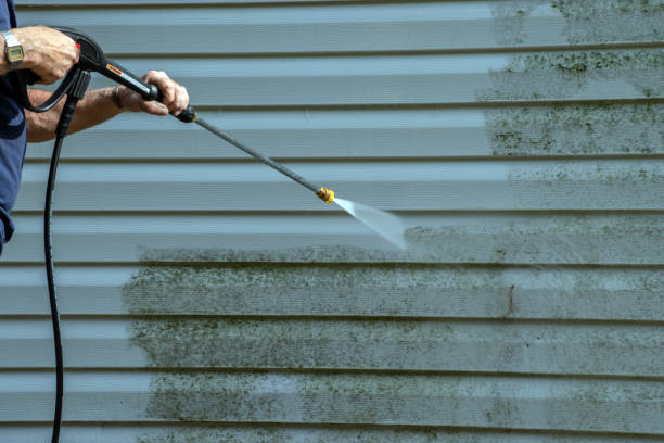 Best Sidewalk and Walkway Cleaning  in Wyomissing, PA